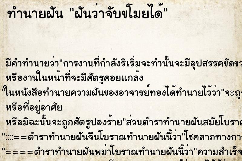 ทำนายฝันฝันว่าจับขโมยได้ ทำนายฝันทำนายฝันฝันว่าจับขโมยได้