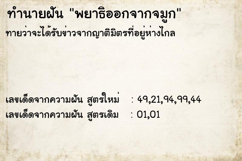 ทำนายฝันพยาธิออกจากจมูก ทำนายฝันทำนายฝันพยาธิออกจากจมูก