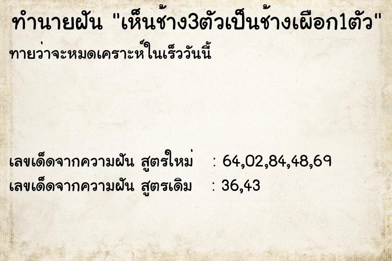 ทำนายฝันเห็นช้าง3ตัวเป็นช้างเผือก1ตัว ทำนายฝันทำนายฝันเห็นช้าง3ตัวเป็นช้างเผือก1ตัว