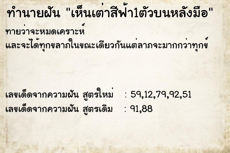 ทำนายฝันทำนายฝันเห็นเต่าสีฟ้า1ตัวบนหลังมือ