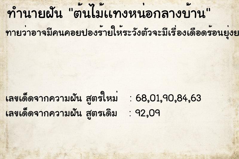 ทำนายฝันต้นไม้เเทงหน่อกลางบ้าน ทำนายฝันทำนายฝันต้นไม้เเทงหน่อกลางบ้าน