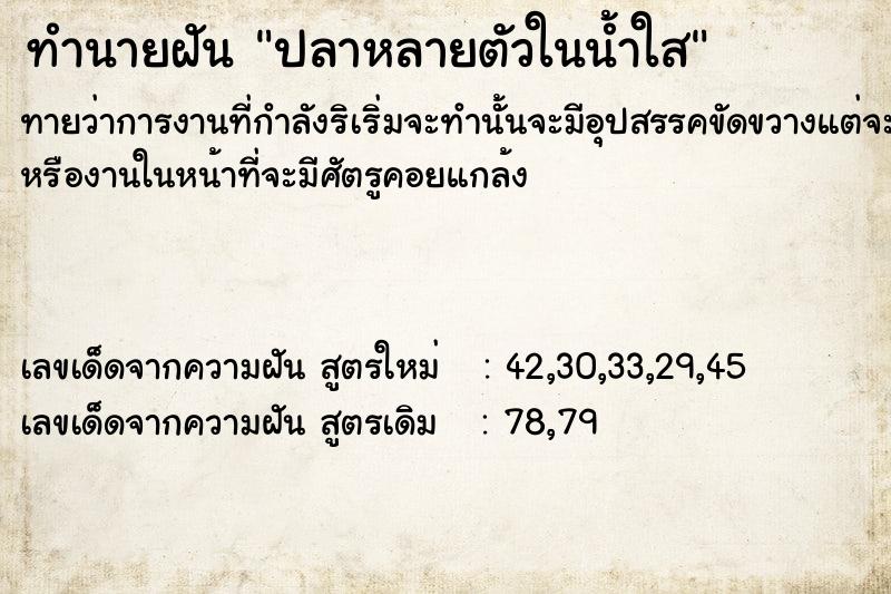 ทำนายฝันปลาหลายตัวในน้ำใส ทำนายฝันทำนายฝันปลาหลายตัวในน้ำใส