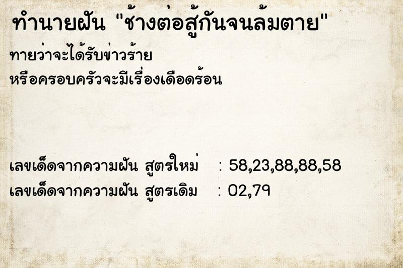 ทำนายฝัน ช้างต่อสู้กันจนล้มตาย ทำนายฝัน ช้างต่อสู้กันจนล้มตาย