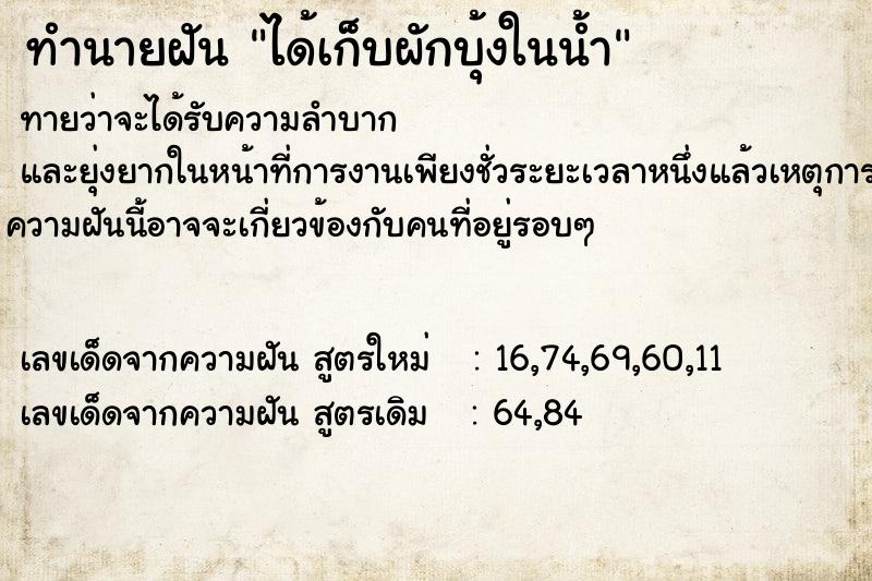 ทำนายฝันทำนายฝันได้เก็บผักบุ้งในน้ำ