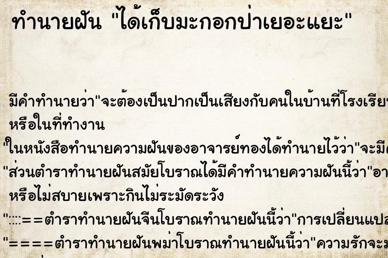 ทำนายฝันทำนายฝันได้เก็บมะกอกป่าเยอะแยะ