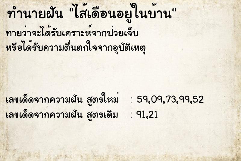 ทำนายฝัน ไส้เดือนอยู่ในบ้าน ทำนายฝัน ไส้เดือนอยู่ในบ้าน