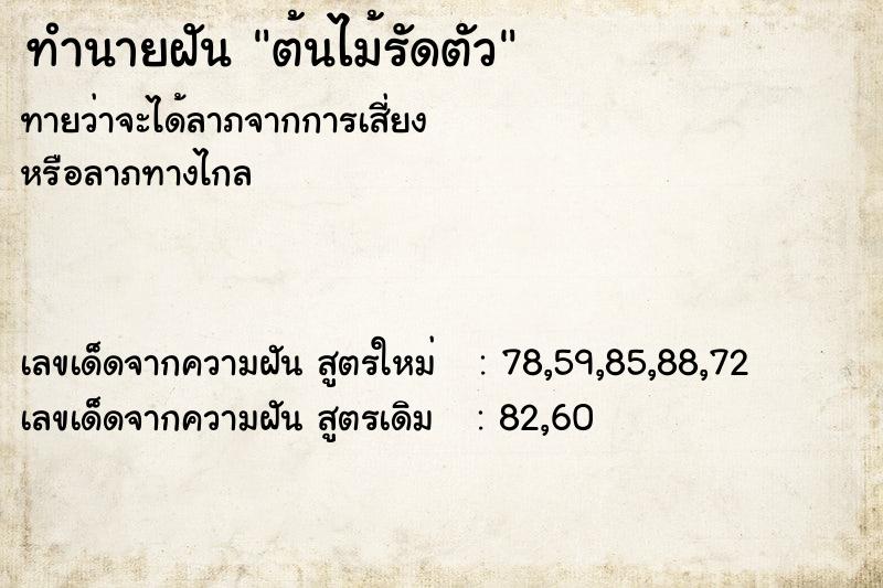 ทำนายฝัน ต้นไม้รัดตัว ทำนายฝัน ต้นไม้รัดตัว
