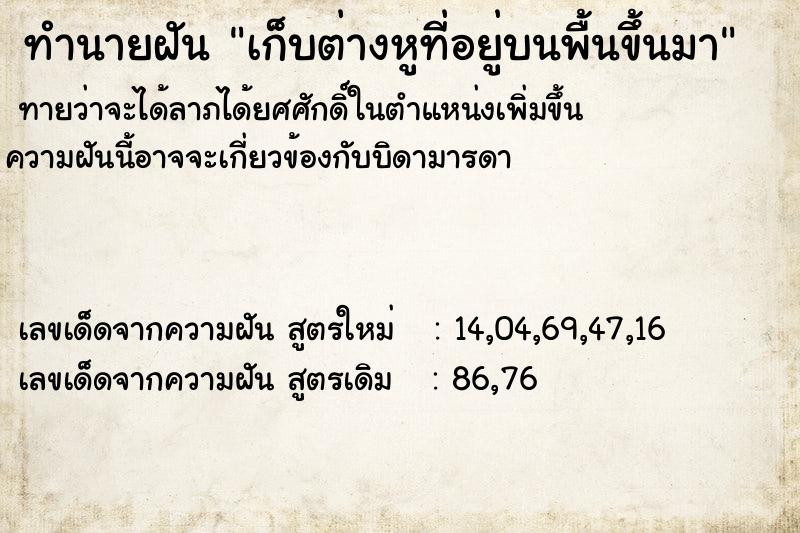 ทำนายฝันเก็บต่างหูที่อยู่บนพื้นขึ้นมา ทำนายฝันทำนายฝันเก็บต่างหูที่อยู่บนพื้นขึ้นมา