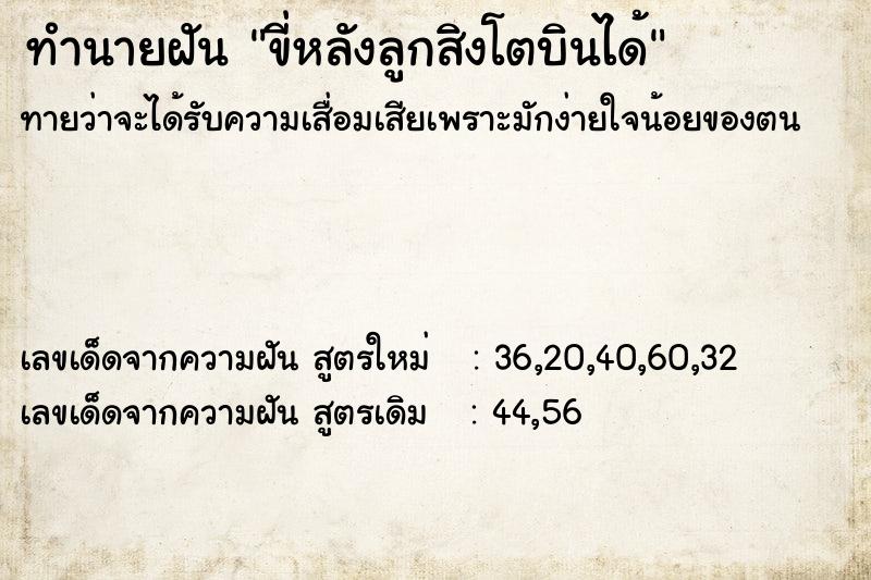 ทำนายฝันขี่หลังลูกสิงโตบินได้ ทำนายฝันทำนายฝันขี่หลังลูกสิงโตบินได้