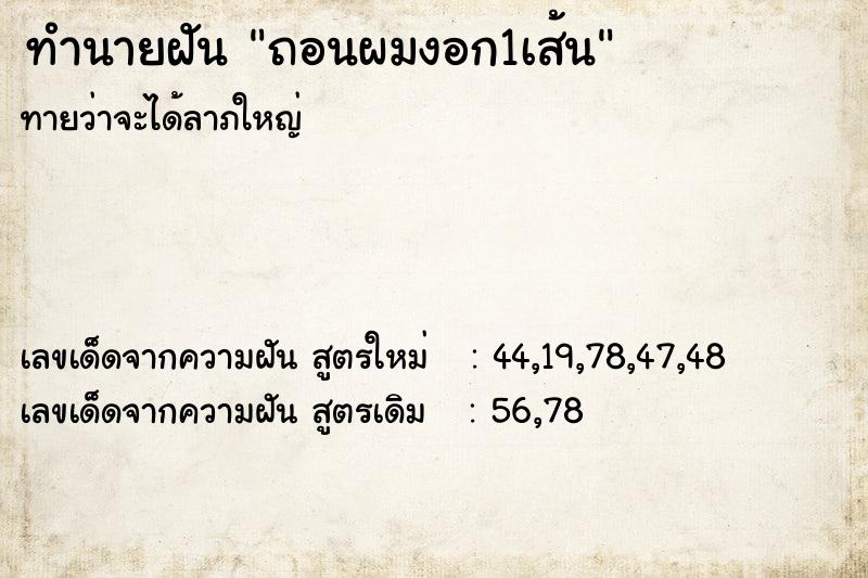 ทำนายฝันถอนผมงอก1เส้น ทำนายฝันทำนายฝันถอนผมงอก1เส้น