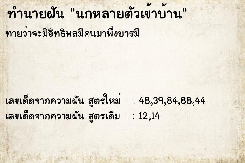 ทำนายฝันนกหลายตัวเข้าบ้าน ทำนายฝันทำนายฝันนกหลายตัวเข้าบ้าน