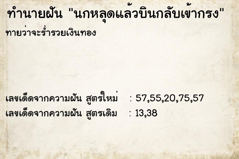 ทำนายฝัน นกหลุดแล้วบินกลับเข้ากรง ทำนายฝัน นกหลุดแล้วบินกลับเข้ากรง