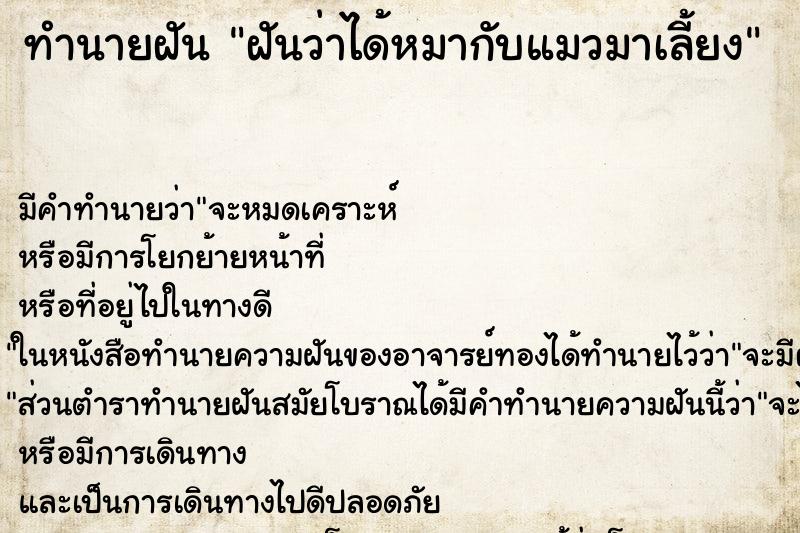 ทำนายฝัน ฝันว่าได้หมากับแมวมาเลี้ยง ทำนายฝัน ฝันว่าได้หมากับแมวมาเลี้ยง