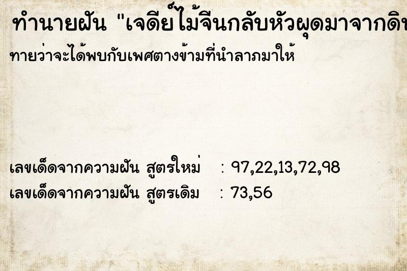 ทำนายฝันทำนายฝันเจดีย์ไม้จีนกลับหัวผุดมาจากดิน