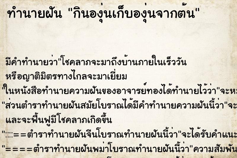 ทำนายฝัน กินองุ่นเก็บองุ่นจากต้น ทำนายฝัน กินองุ่นเก็บองุ่นจากต้น