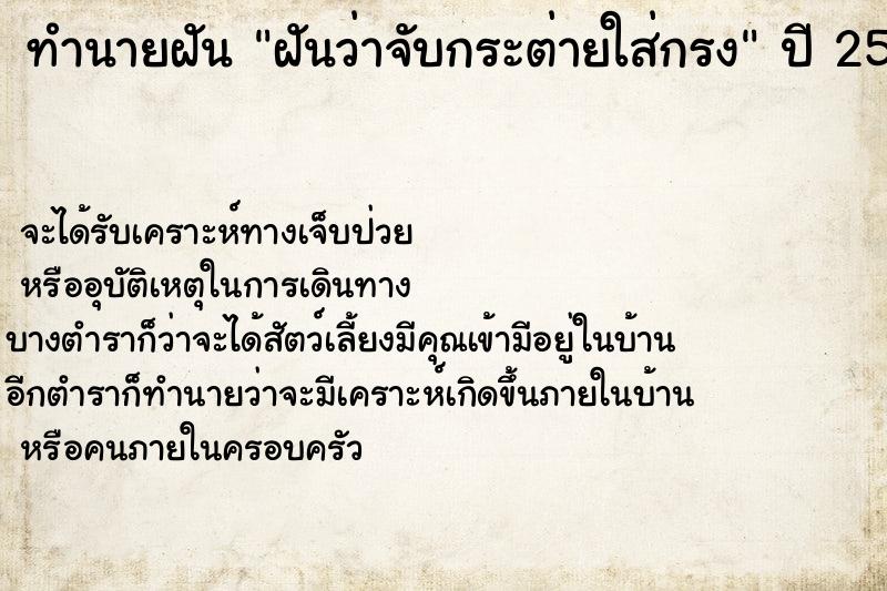 ทำนายฝันฝันว่าจับกระต่ายใส่กรง ทำนายฝันทำนายฝันฝันว่าจับกระต่ายใส่กรง