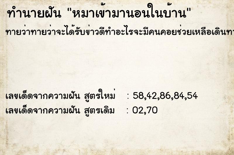 ทำนายฝันทำนายฝันหมาเข้ามานอนในบ้าน