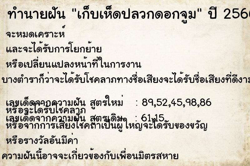 ทำนายฝัน เก็บเห็ดปลวกดอกจูม ทำนายฝัน เก็บเห็ดปลวกดอกจูม