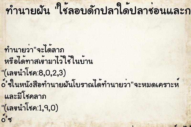 ทำนายฝันทำนายฝันใช้ลอบดักปลาใด้ปลาช่อนและกบ