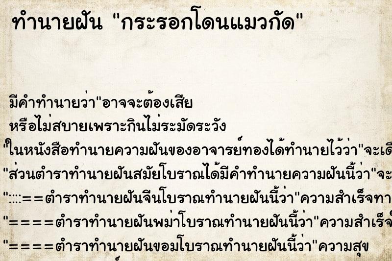 ทำนายฝันกระรอกโดนแมวกัด ทำนายฝันทำนายฝันกระรอกโดนแมวกัด