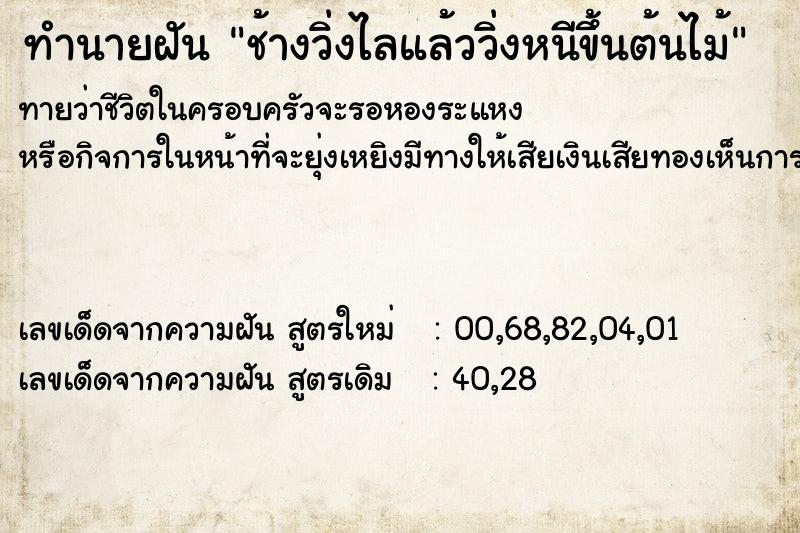 ทำนายฝัน ช้างวิ่งไลแล้ววิ่งหนีขึ้นต้นไม้