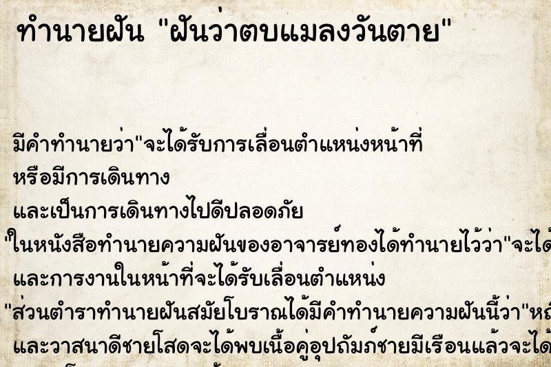ทำนายฝันฝันว่าตบแมลงวันตาย ทำนายฝันทำนายฝันฝันว่าตบแมลงวันตาย