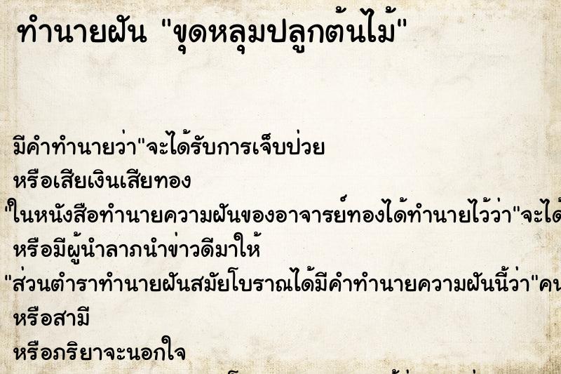 ทำนายฝันขุดหลุมปลูกต้นไม้ ทำนายฝันทำนายฝันขุดหลุมปลูกต้นไม้