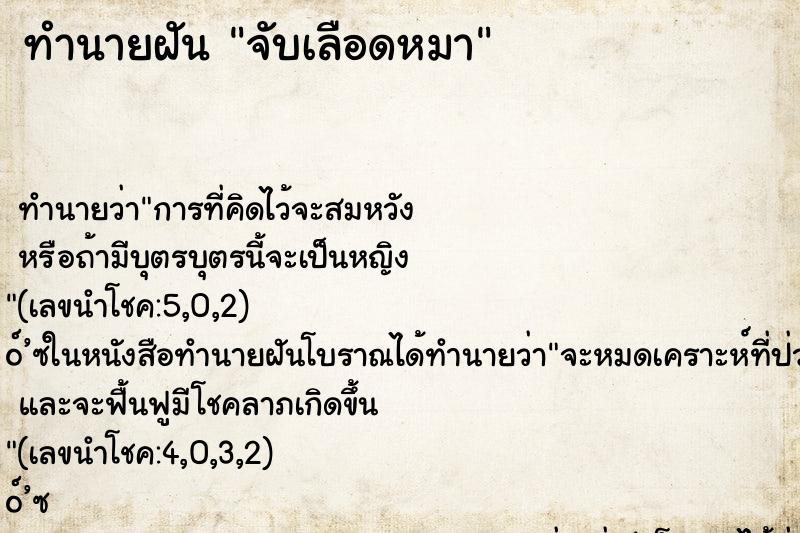 ทำนายฝันจับเลือดหมา ทำนายฝันทำนายฝันจับเลือดหมา