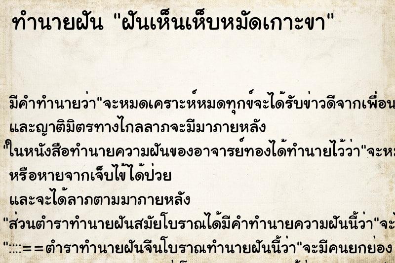 ทำนายฝัน ฝันเห็นเห็บหมัดเกาะขา ทำนายฝัน ฝันเห็นเห็บหมัดเกาะขา