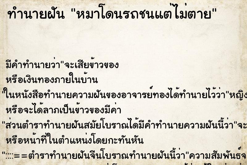 ทำนายฝัน หมาโดนรถชนแต่ไม่ตาย ทำนายฝัน หมาโดนรถชนแต่ไม่ตาย