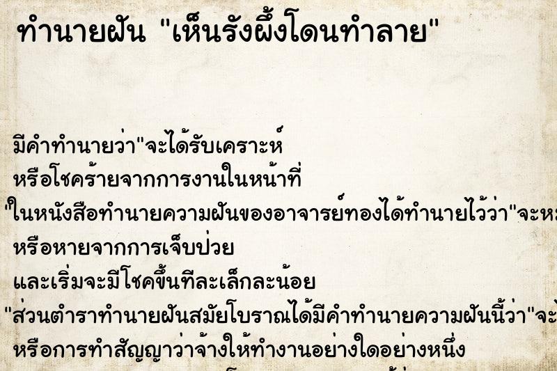 ทำนายฝัน เห็นรังผึ้งโดนทำลาย ทำนายฝัน เห็นรังผึ้งโดนทำลาย