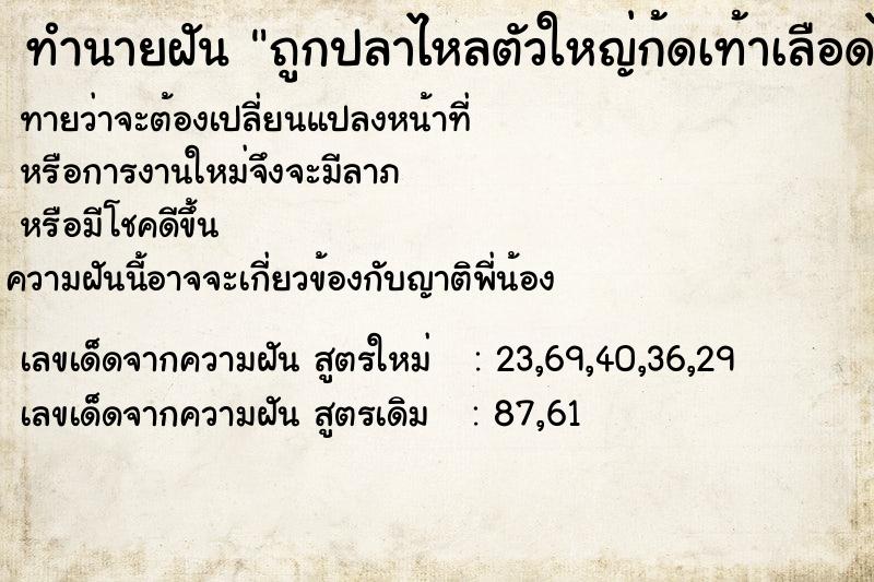 ทำนายฝันถูกปลาไหลตัวใหญ่ก้ดเท้าเลือดไหล ทำนายฝันทำนายฝันถูกปลาไหลตัวใหญ่ก้ดเท้าเลือดไหล