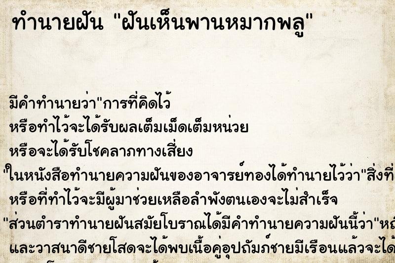 ทำนายฝัน ฝันเห็นพานหมากพลู ทำนายฝัน ฝันเห็นพานหมากพลู