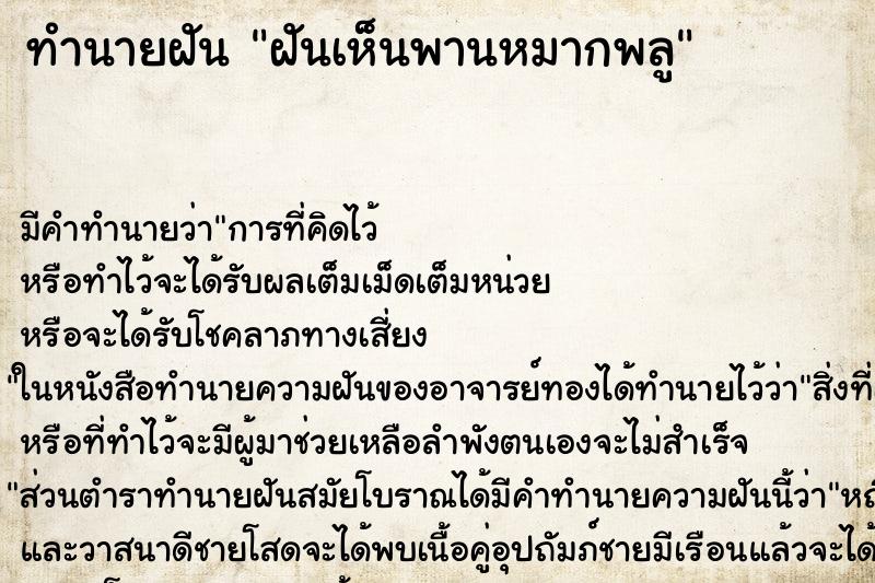 ทำนายฝัน ฝันเห็นพานหมากพลู ตำราโบราณ แม่นที่สุดในโลก