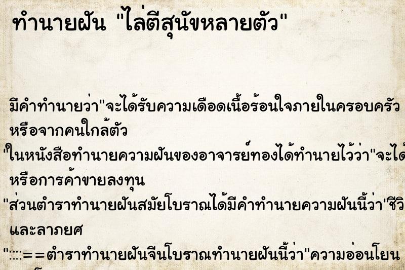 ทำนายฝันไล่ตีสุนัขหลายตัว ทำนายฝันทำนายฝันไล่ตีสุนัขหลายตัว