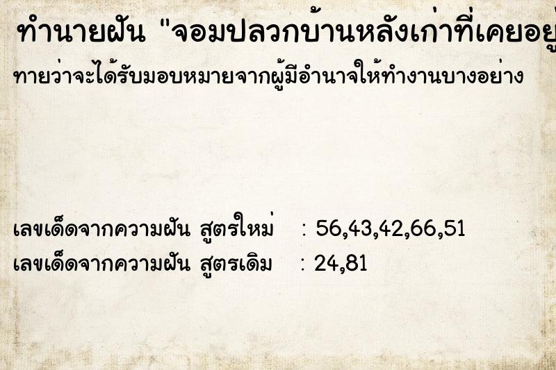 ทำนายฝันทำนายฝันจอมปลวกบ้านหลังเก่าที่เคยอยู่