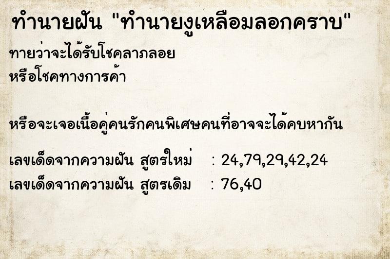 ทำนายฝันทำนายงูเหลือมลอกคราบ ทำนายฝันทำนายฝันทำนายงูเหลือมลอกคราบ