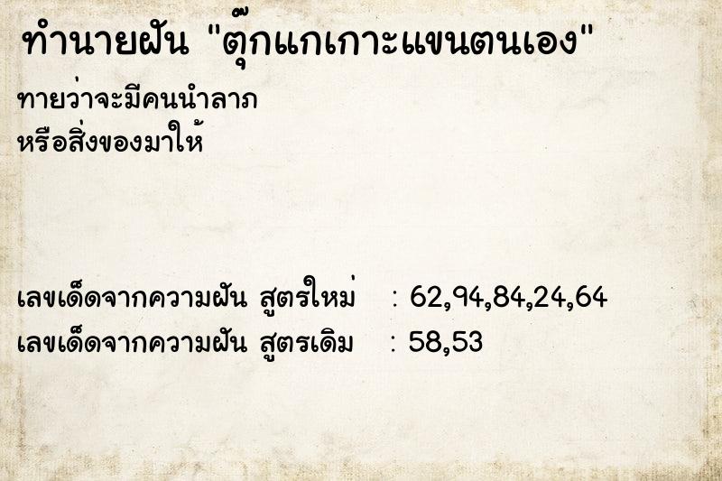ทำนายฝันตุ๊กแกเกาะแขนตนเอง ทำนายฝันทำนายฝันตุ๊กแกเกาะแขนตนเอง