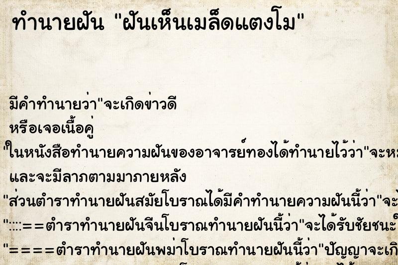 ทำนายฝัน ฝันเห็นเมล็ดแตงโม ทำนายฝัน ฝันเห็นเมล็ดแตงโม