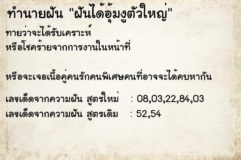 ทำนายฝันฝันได้อุ้มงูตัวใหญ่ ทำนายฝันทำนายฝันฝันได้อุ้มงูตัวใหญ่