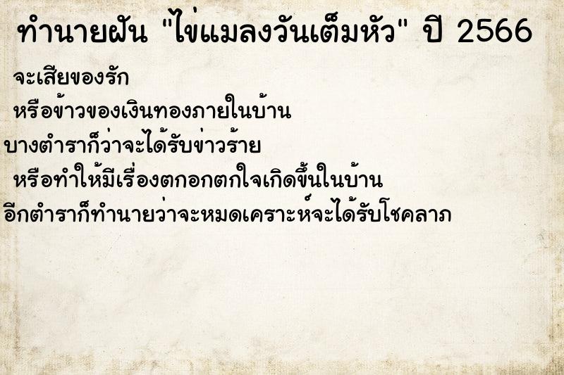 ทำนายฝัน ไข่แมลงวันเต็มหัว