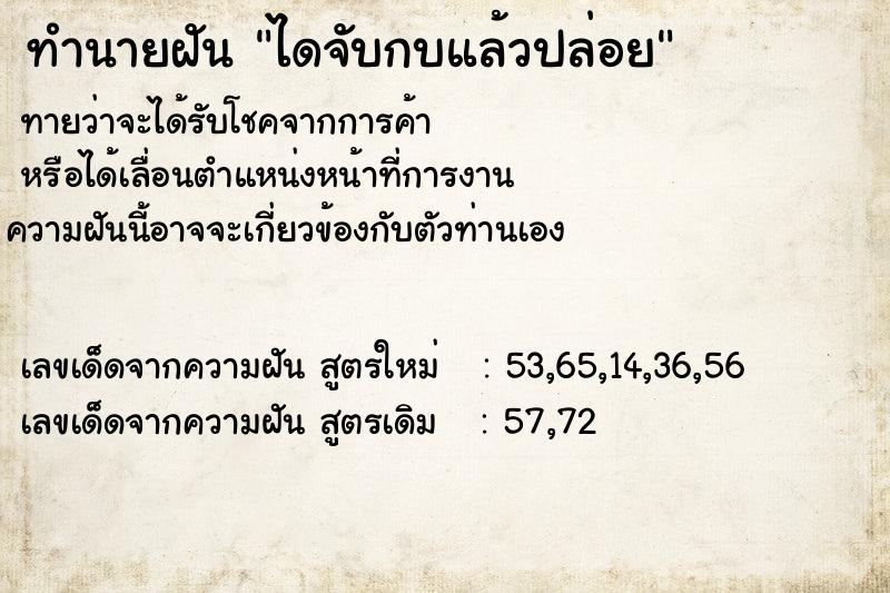 ทำนายฝันทำนายฝันไดจับกบแล้วปล่อย