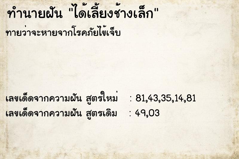 ทำนายฝันทำนายฝันได้เลี้ยงช้างเล็ก