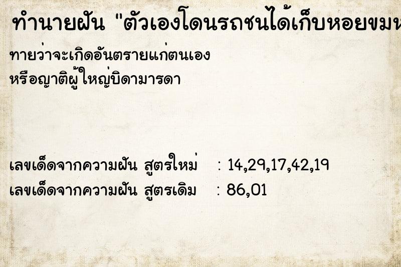 ทำนายฝันทำนายฝันตัวเองโดนรถชนได้เก็บหอยขมหอยโข่งเยอะมาก