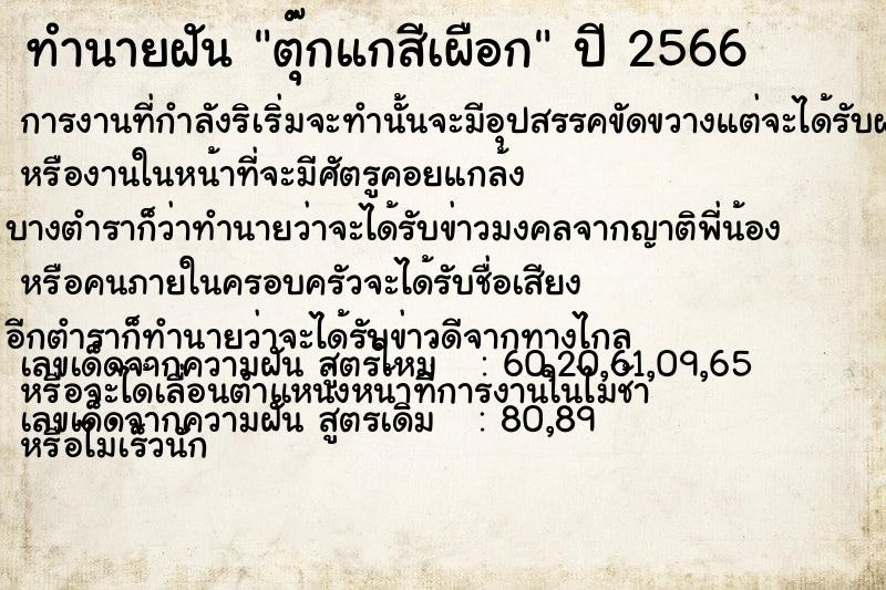 ทำนายฝันตุ๊กแกสีเผือก ทำนายฝันทำนายฝันตุ๊กแกสีเผือก