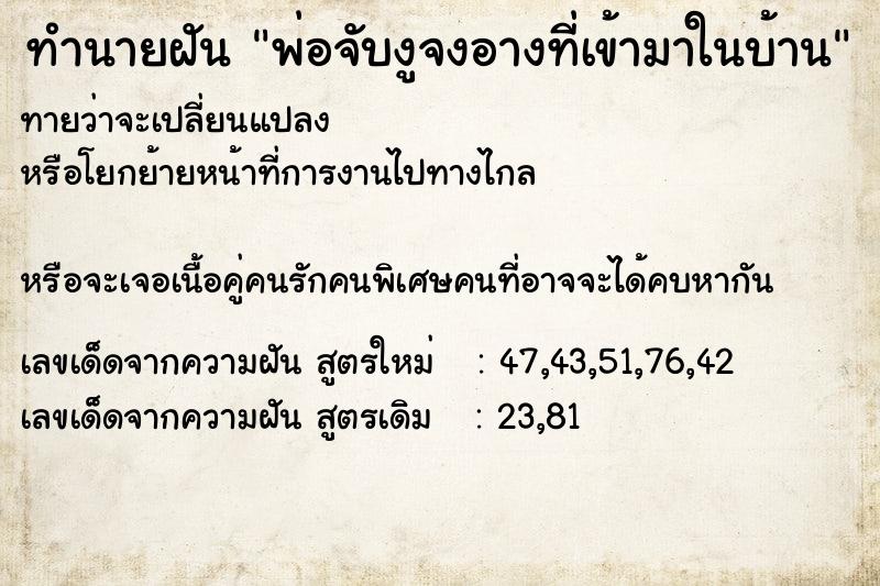 ทำนายฝันพ่อจับงูจงอางที่เข้ามาในบ้าน ทำนายฝันทำนายฝันพ่อจับงูจงอางที่เข้ามาในบ้าน