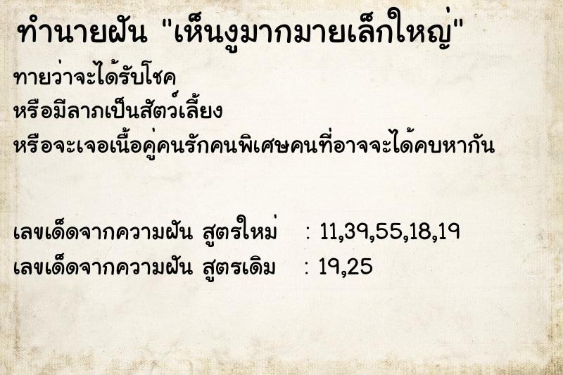 ทำนายฝัน เห็นงูมากมายเล็กใหญ่