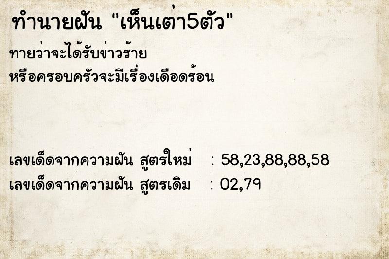 ทำนายฝันทำนายฝันเห็นเต่า5ตัว