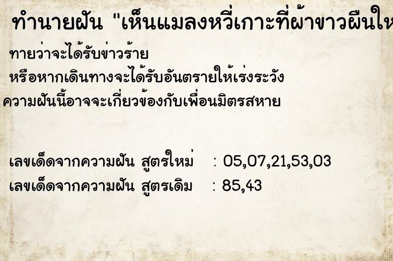 ทำนายฝันทำนายฝันเห็นแมลงหวี่เกาะที่ผ้าขาวผืนใหญ่ในบ้านเยอะมาก