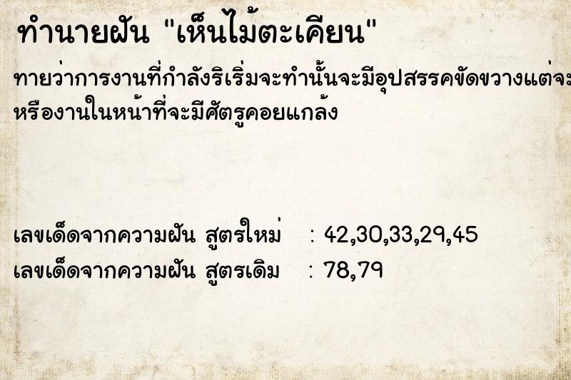 ทำนายฝัน เห็นไม้ตะเคียน ทำนายฝัน เห็นไม้ตะเคียน
